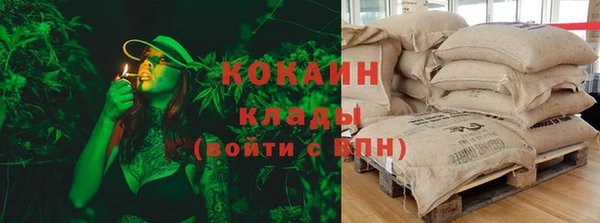 гидропоника Алзамай