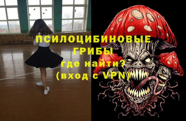 гидропоника Алзамай