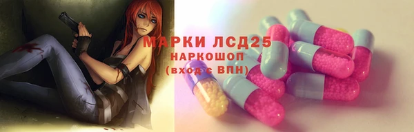 гидропоника Алзамай