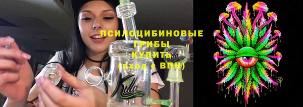 дмт Алексин